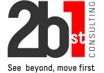 COMPANY 2B1ST CONSULTING